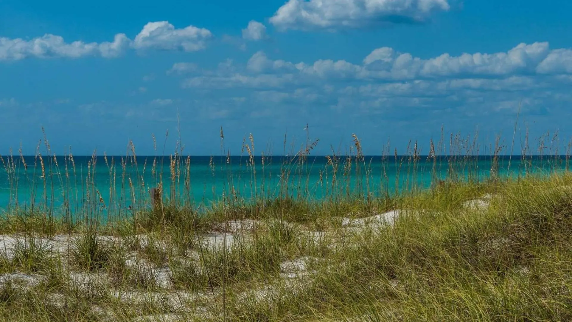 Semesterbostad Commodore 205 Panama City Beach USA